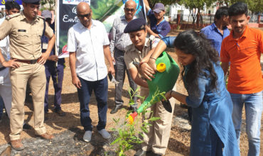 Tree Plantation