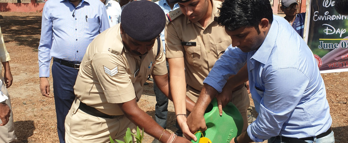 Tree Plantation