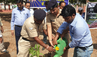 Tree Plantation